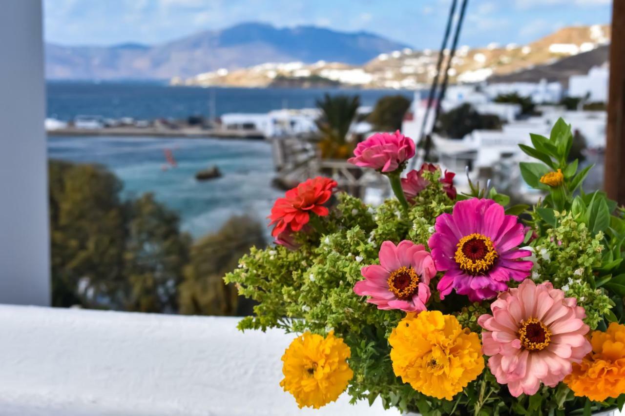 Villa Francesca II Mykonos Town Exterior photo